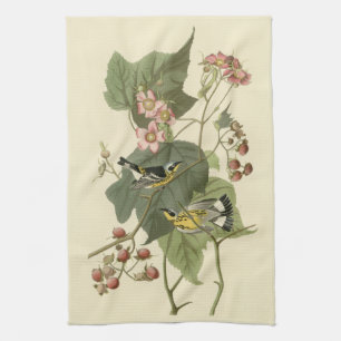 Paño De Cocina Curruca de la magnolia de Audubon