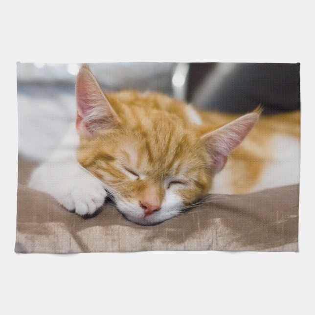 Paño De Cocina Cute Kitten (Horizontal)