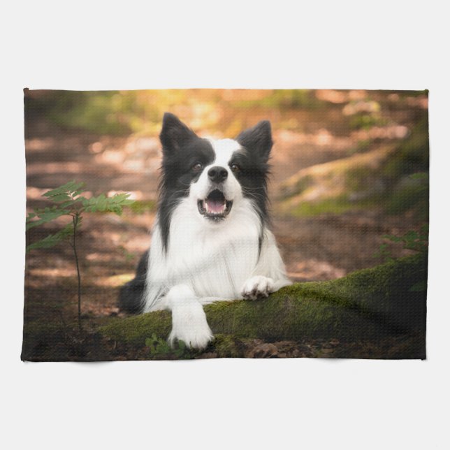 Paño De Cocina Cutest Baby Animals | Black & White Border Collie (Horizontal)