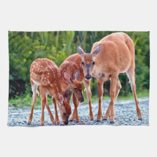 Paño De Cocina Cutest Baby Animals Fawn with Babies
