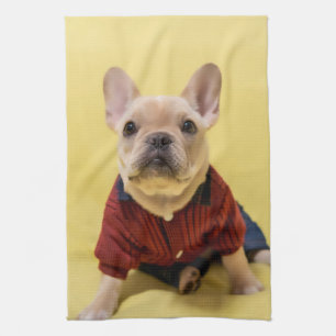 Paño De Cocina Cutest Baby Animals French Bulldog Dressed