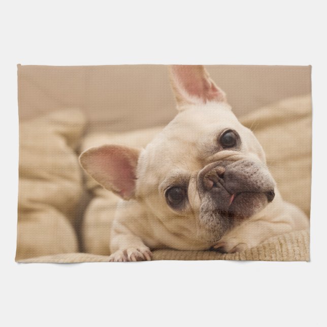 Paño De Cocina Cutest Baby Animals | French Bulldog Head Tilt (Horizontal)