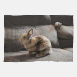 Paño De Cocina Cutest Baby Animals   Netherland Dwarf Rabbit