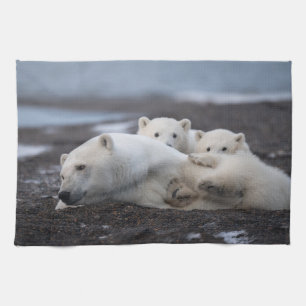 Paño De Cocina Cutest Baby Animals Polar Bear Family Alaska