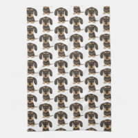 Dachshund de cabello alambrado| Perro Cute Teckel 