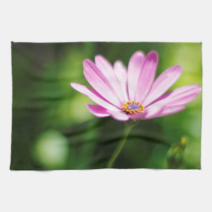 Paño De Cocina Daisy africano