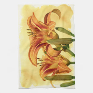 Paño De Cocina Daylilies - Hemerocallis