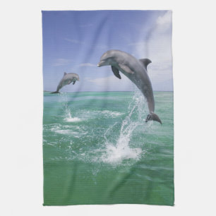 Paño De Cocina Delfines mulares Tursiops truncatus