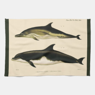 Paño De Cocina Delfines Vintage, Animales Mamíferos Marinos 