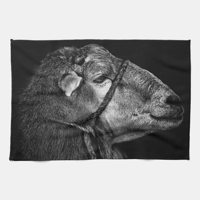 Paño De Cocina derecho siguiente (Horizontal)