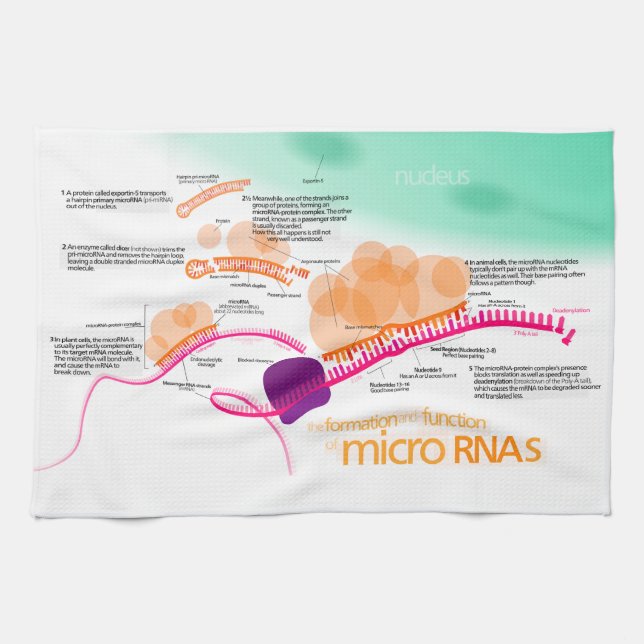Paño De Cocina Diagrama del microRNA (Horizontal)