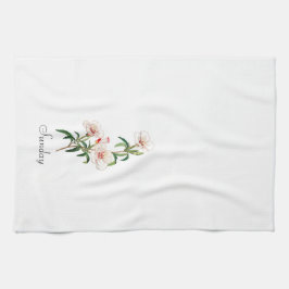 Paño De Cocina *Días de semana GBUS2.7SUN (domingo) -