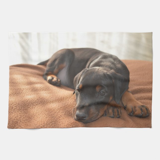 Paño De Cocina doberman-pinscher-puppy (Horizontal)
