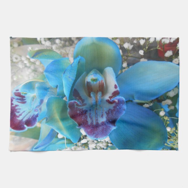 Paño De Cocina Donella (Horizontal)