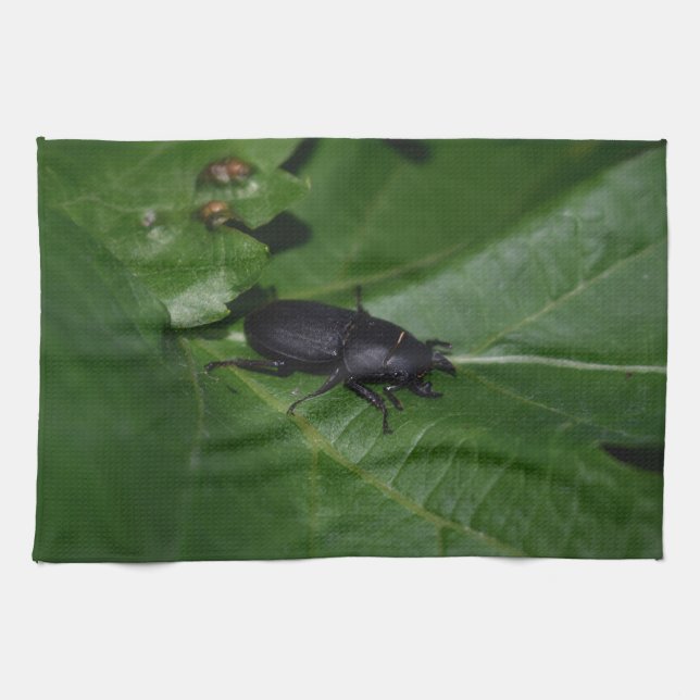 Paño De Cocina Dorcus parallelipipedus , el escarabajo de menor t (Horizontal)