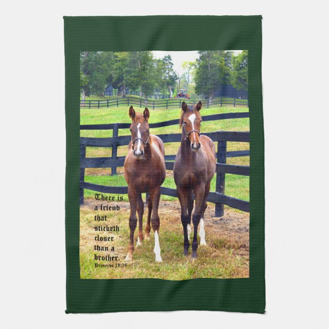 Paño De Cocina Dos amigos con proverbios 18:24 (Vertical)