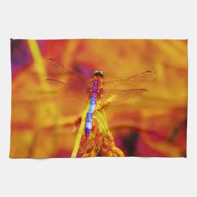 Paño De Cocina Dragonfly arcoiris sobre ámbar y fuschia (Horizontal)