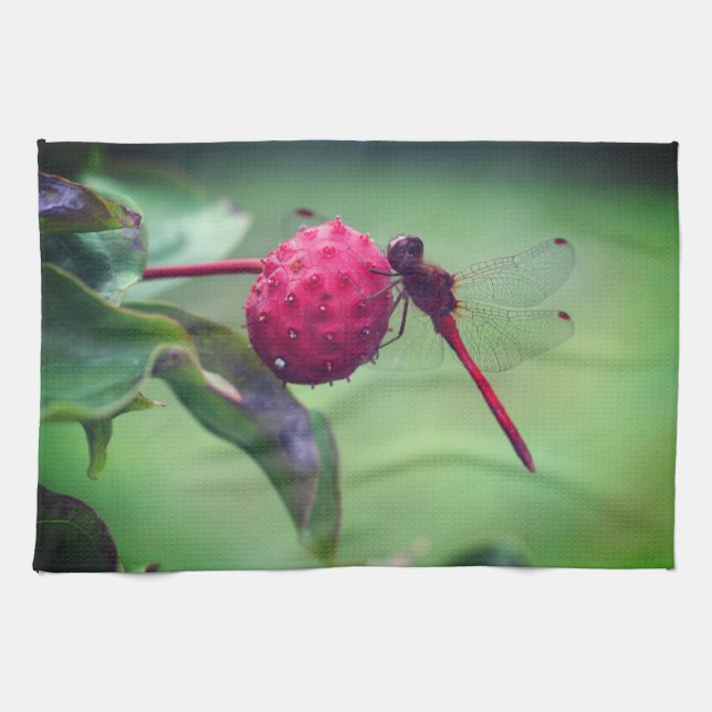 Paño De Cocina Dragonfly Rojo Sobre Fruta De Dogwood Cerca (Horizontal)
