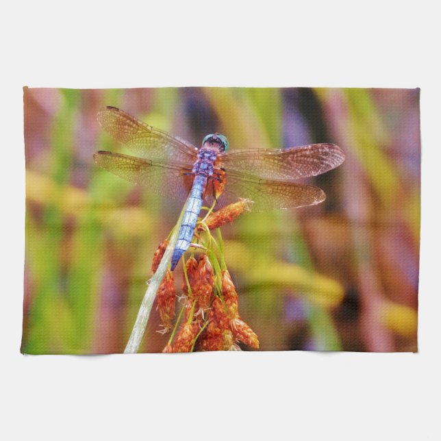 Paño De Cocina Dragonfly verde azulado (Horizontal)