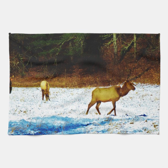 PAÑO DE COCINA DSC00131.JPG (Horizontal)