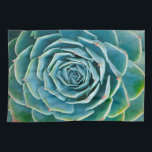 Paño De Cocina Echeveria Roseta, Jardín Secreto de Marrakech<br><div class="desc">Echeveria roseta (Echeveria elegans),  una planta suculenta semidesértica nativa de México,  Jardín Secreto de Marrakech,  Medina de Marrakech,  barrio de Mouassine,  Marruecos.</div>