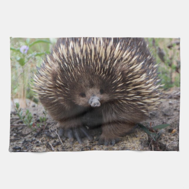 Paño De Cocina Echidna australiano adorable (Horizontal)