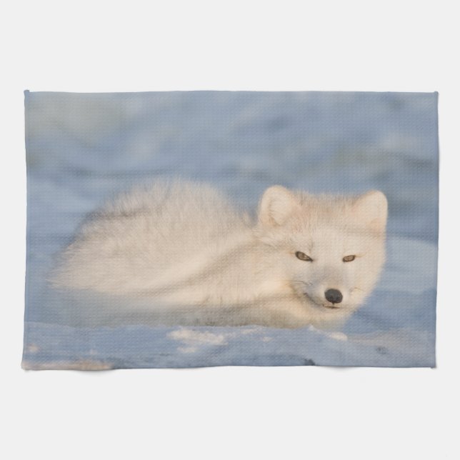 Paño De Cocina EE. UU., Alaska, Fox (Horizontal)