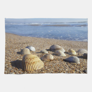 Paño De Cocina EE. UU., Florida, conchas marinas costeras