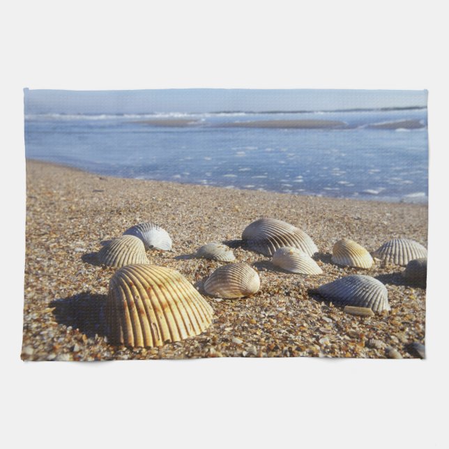 Paño De Cocina EE. UU., Florida, conchas marinas costeras (Horizontal)