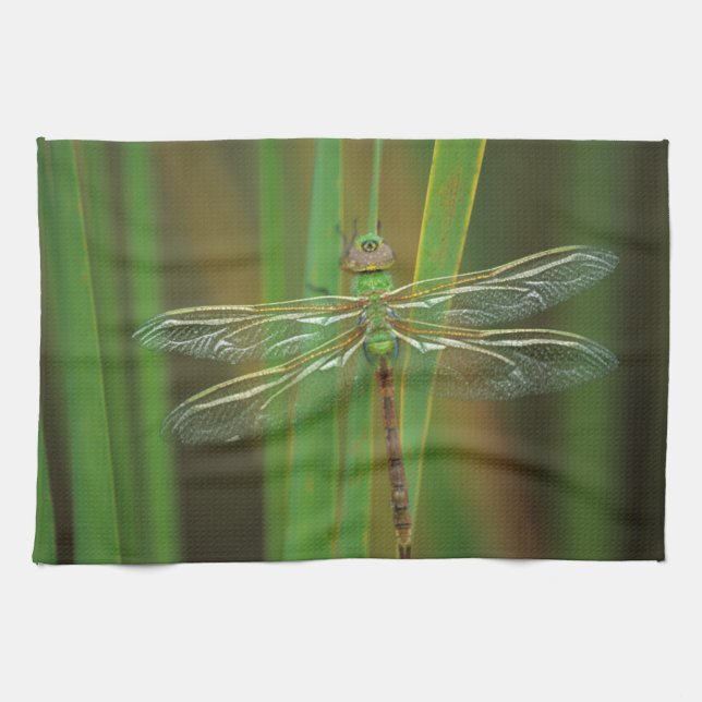 Paño De Cocina EE. UU., Georgia. Libélula verde sobre cañas (Horizontal)
