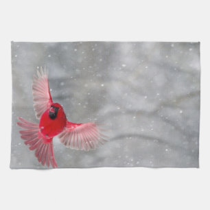 Paño De Cocina EE. UU., Indiana, Indianápolis. Un cardenal macho