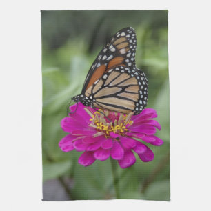 Paño De Cocina EE.UU., Massachusetts, Boylston, Tower Hill