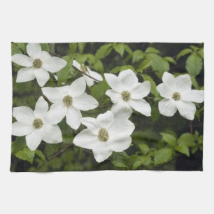 Paño De Cocina EE. UU., Washington, Cornejo del Pacífico, Cornus