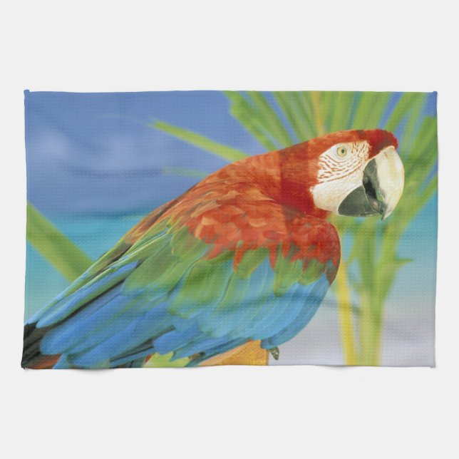 Paño De Cocina EEUU, Hawaii. Paro (Horizontal)