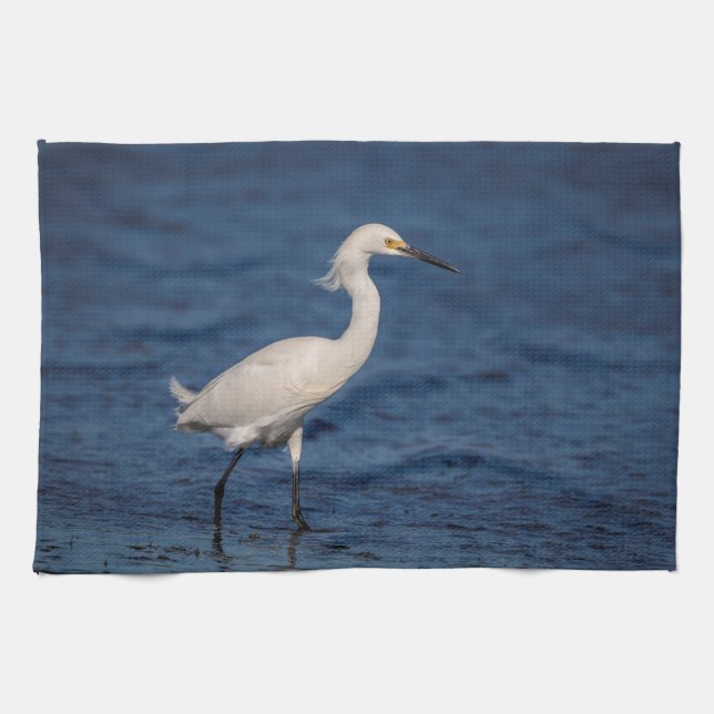 Paño De Cocina Egret nevado en North Beach (Horizontal)