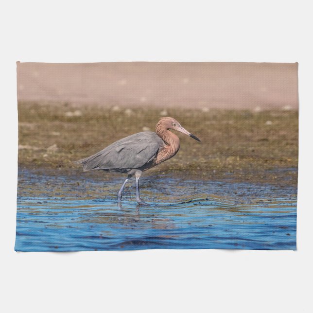 Paño De Cocina Egret Reddish en North Beach (Horizontal)