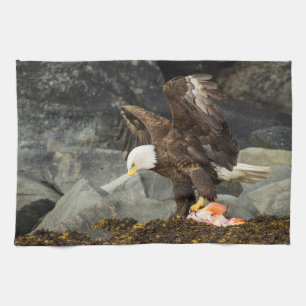 Paño De Cocina El águila calva suprema