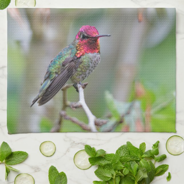 Paño De Cocina El colibrí de Anna, un hombre asombroso, en un árb (Doblado)