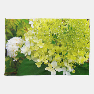 Paño De Cocina Elegante Chartreuse Green Limelight Hydrangea