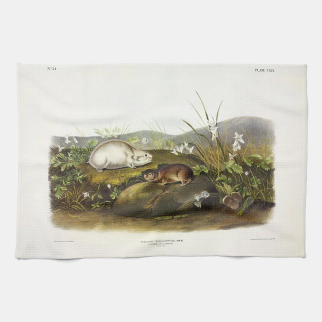 Paño De Cocina Emblema de Hudson's Bay (Ungava Collared) de Audub (Horizontal)