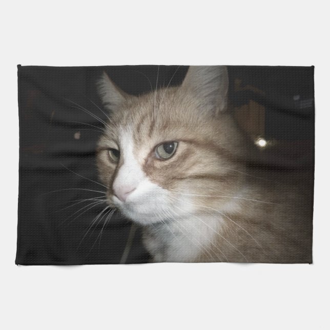 Paño De Cocina ¿En qué está pensando? (Horizontal)