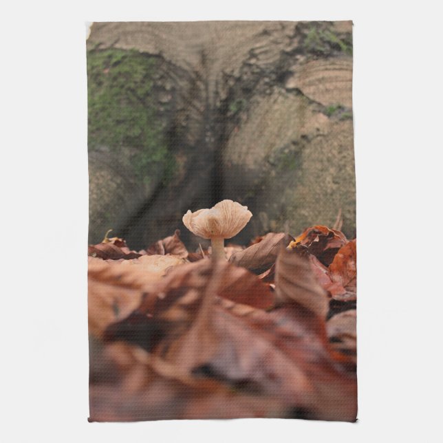 Paño De Cocina Entre Los Troncos De Árbol (Vertical)