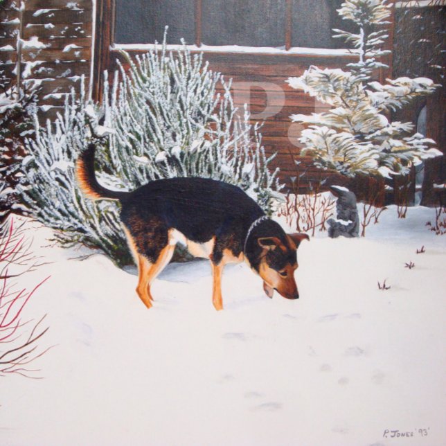 Paño De Cocina Escena de nieve de invierno con perro negro lindo  (Subido por el creador)