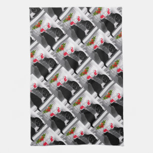 Paño De Cocina Esperando a Santa María