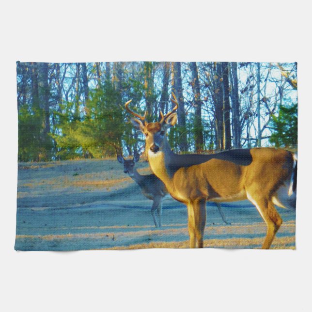 Paño De Cocina Estadio/Deer Buck, cielo azul brillante (Horizontal)