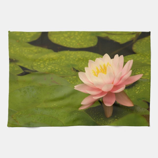 Paño De Cocina Estados Unidos, Maryland, Westminster, Unión 2 (Horizontal)