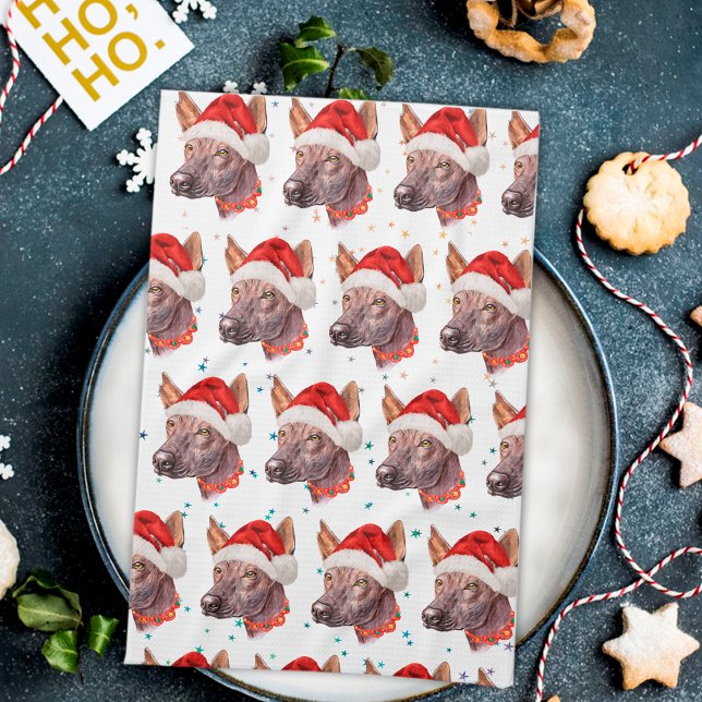 Paño De Cocina Estrellas de Navidad de la raza de perro sin pelo  (Subido por el creador)
