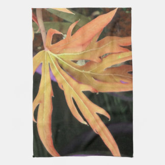 Paño De Cocina Estudio de la hoja 2