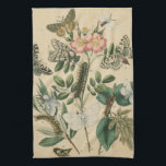 Paño De Cocina Etapas de la vida de la mariposa por Vision Studio<br><div class="desc">En este artículo de Vision Studio se describen todas las etapas de la vida de las mariposas. Se muestran orugas,  mariposas recién eclosionadas e incluso una vaina de larva. Si te gusta la naturaleza en general,  o las mariposas en particular,  ¡esta es la impresión para ti!</div>