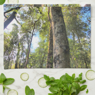 Paño De Cocina Eucaliptus Gum Trees de la selva tropical australi